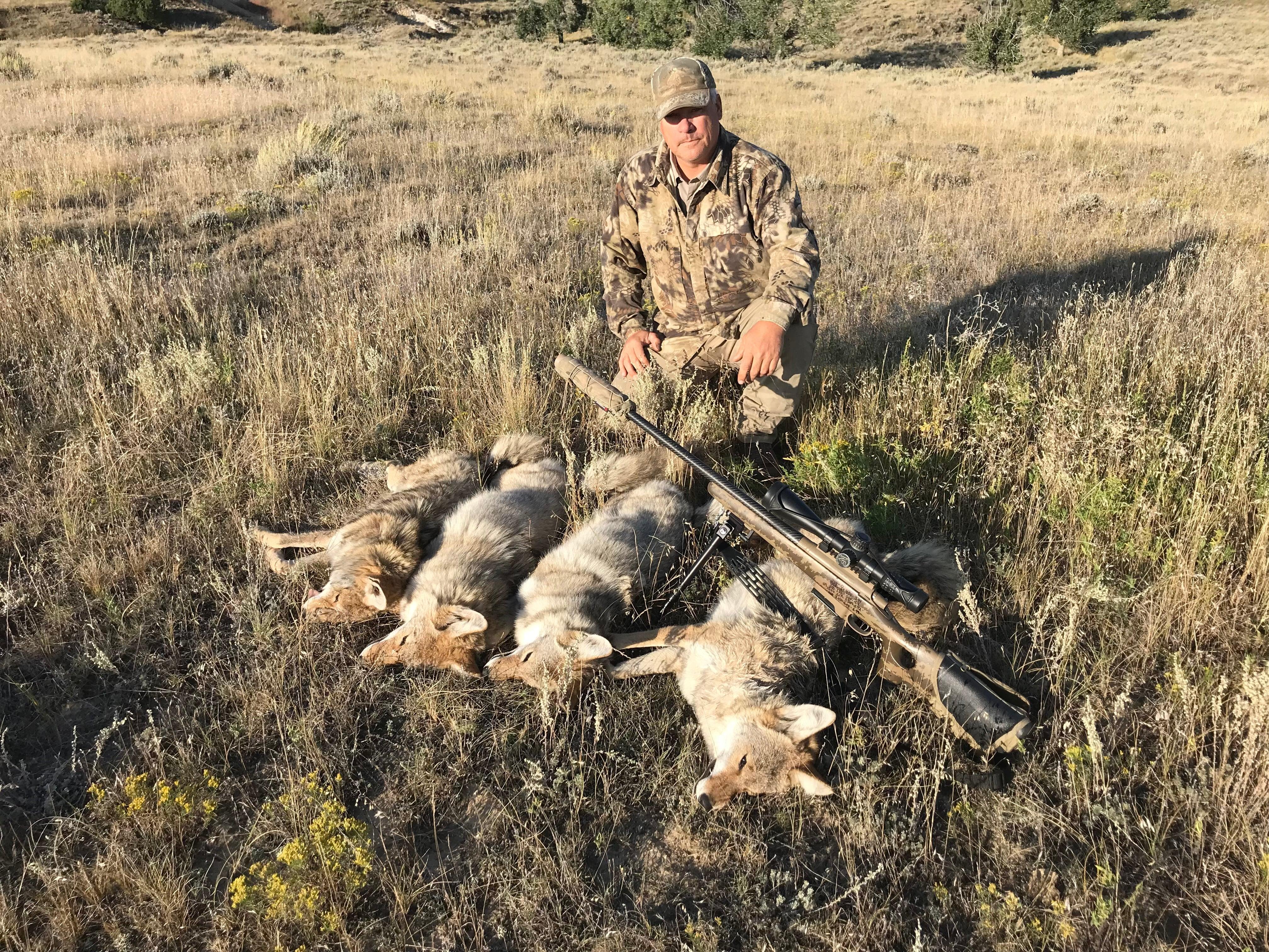 A Predator Control Specialist in Wyoming: 25 Years of Protecting Livestock and Ecosystems - Cal Taylor Coyotes